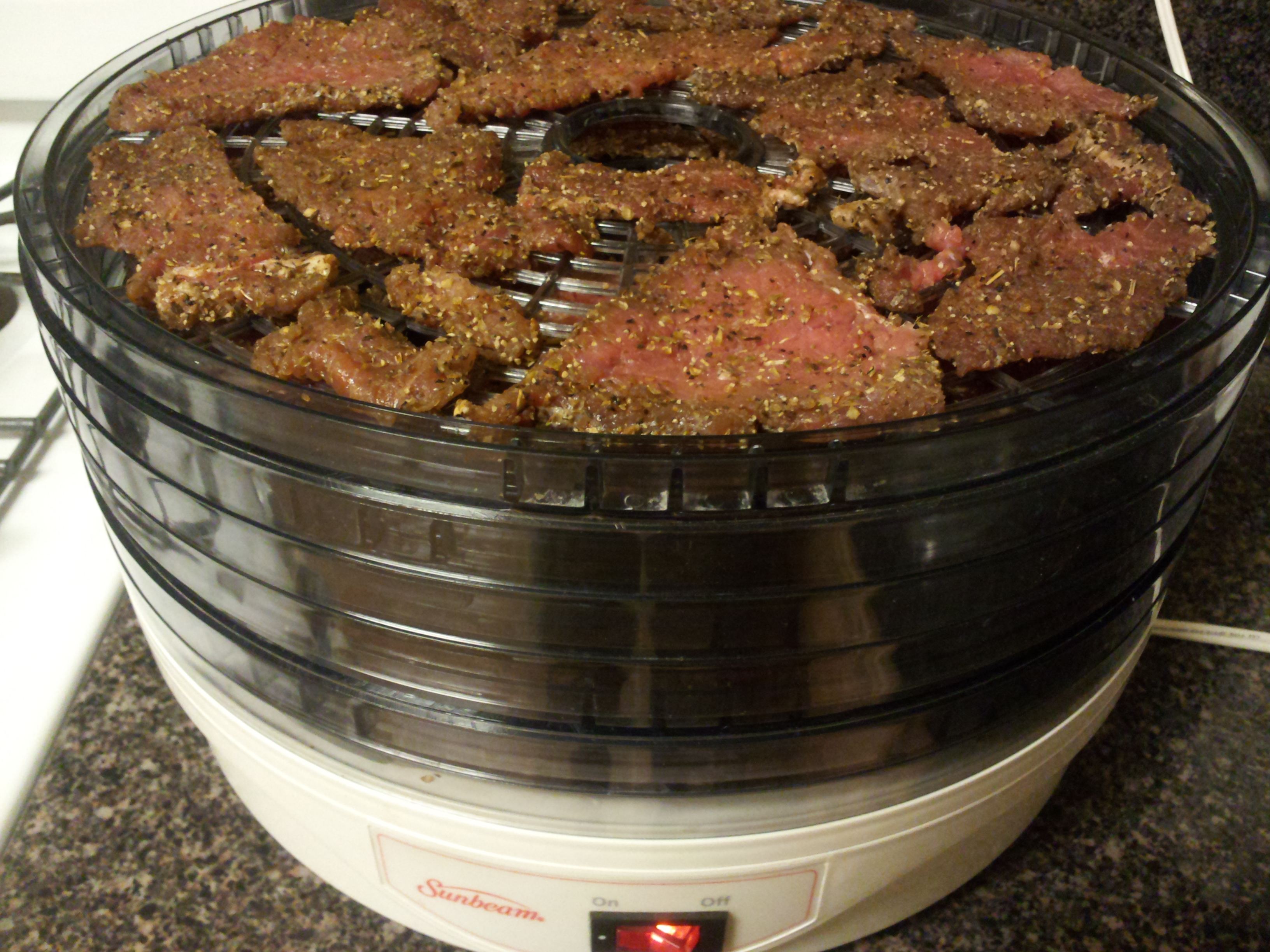 How To Make Good Beef Jerky In Dehydrator 5094