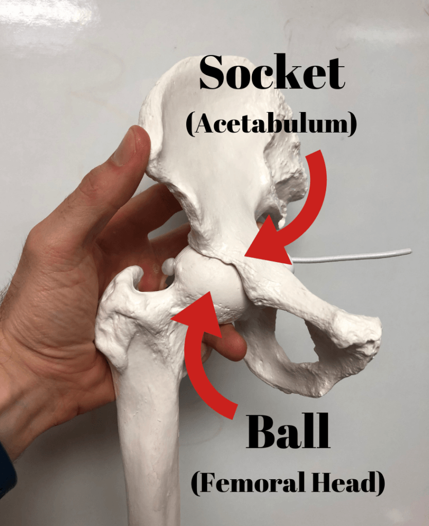 The Ultimate Guide to Getting Out of Hip Pain and Back to Squatting, Deadlifting and Olympic