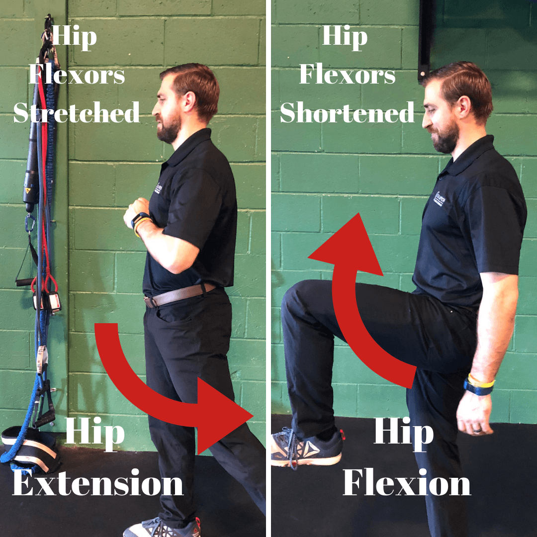 Improve Hip Flexion Extension Without Stretching