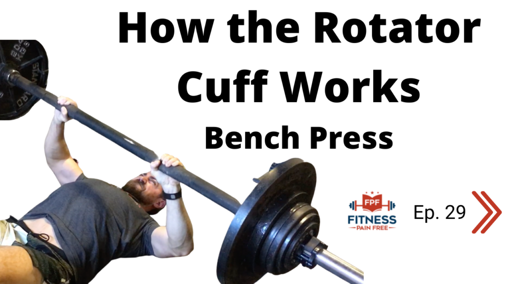 How The Rotator Cuff Works During Bench Press Supraspinatus 