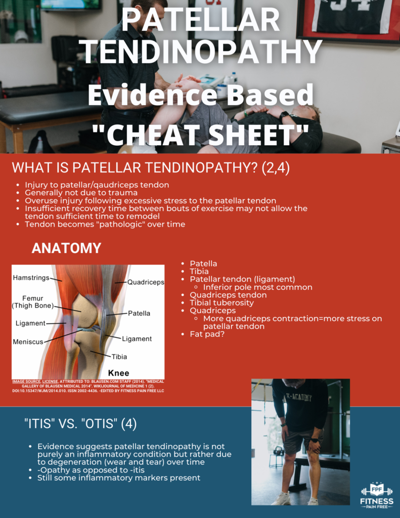 Patellar and Quadriceps Tendinopathy: Evidence Based Guide – Definition ...