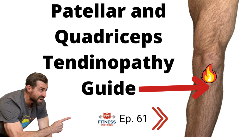 Patellar And Quadriceps Tendinopathy Evidence Based Guide Definition Anatomy Prevalence