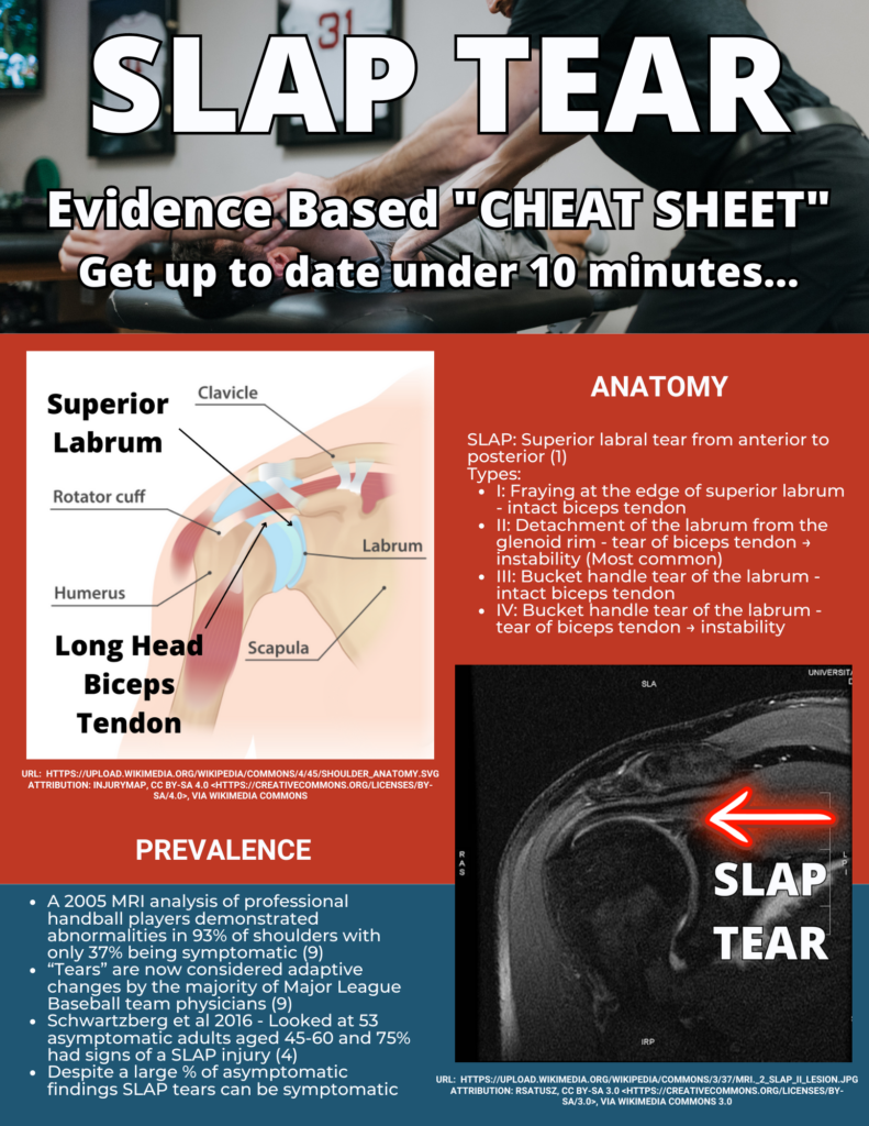 8 Key Tests for Diagnosing SLAP Tears in the Shoulder - Fitness Pain ...